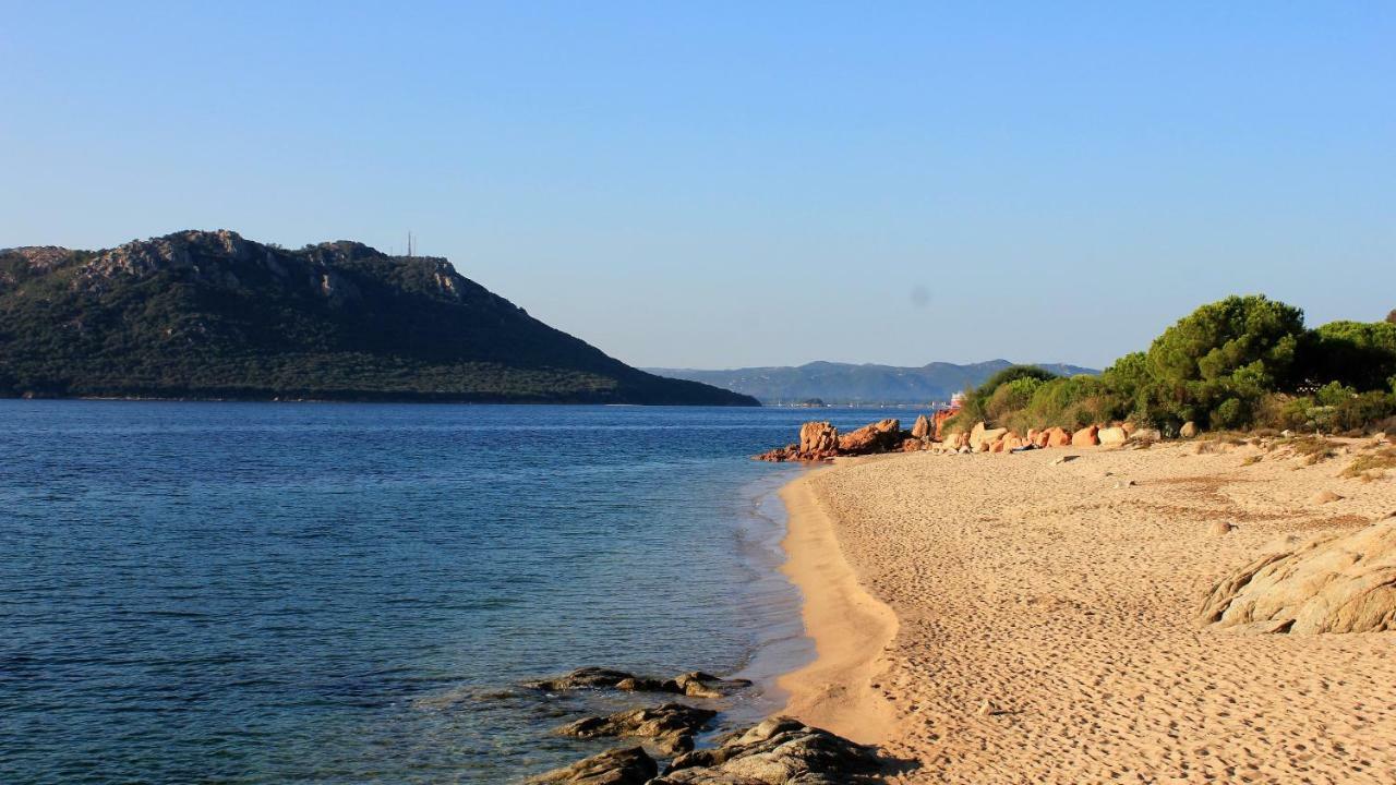 Villas Cala Corsa - 3 Et 4 Chambres - Cala Rossa Porto-Vecchio - Villas Entierement Climatisees Avec Piscine Chauffee Partagee Et Piscines Privees - Internet Gratuit Екстериор снимка